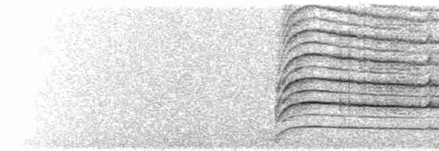  - White-throated Hawk