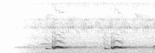  - Golden-throated Barbet (Himalayan)