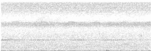 Bar-tailed Trogon - ML54462801