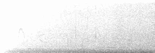 Серый пересмешник - ML544656551