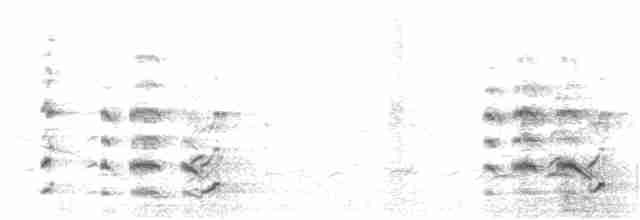 čejka černoprsá - ML54471251