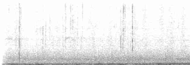 Evening Grosbeak (type 2) - ML544727771