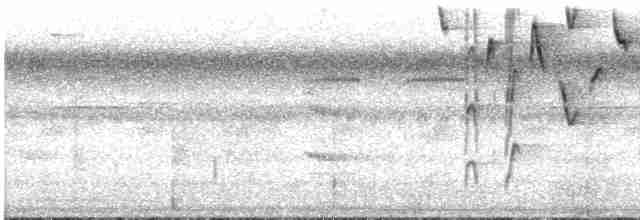 Conirostre marguerite - ML544765221
