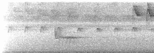 Turuncu Karınlı Öksekuşu - ML544815471