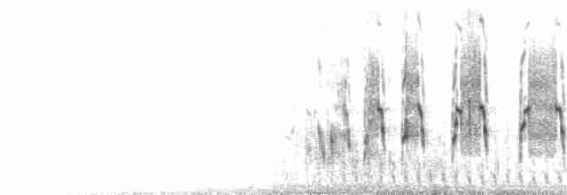  - Red-winged Francolin