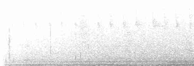 Юкатанская амазилия (cerviniventris/chalconota) - ML544927701