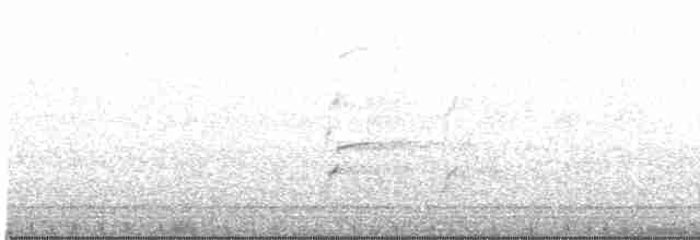 Пестрогрудый хохлатый орёл - ML544932411