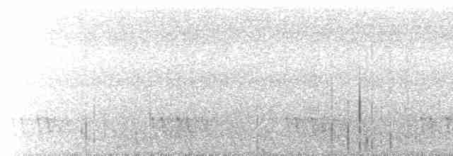 Kara Kulaklı Barbet - ML544942741