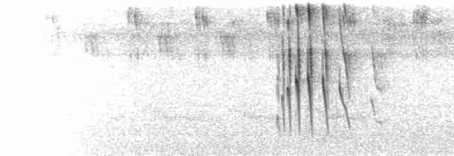  - Bat-like Spinetail