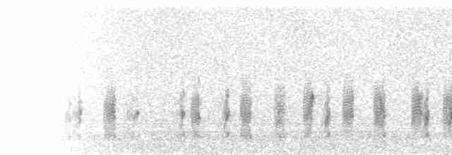  - Three-banded Plover (African)