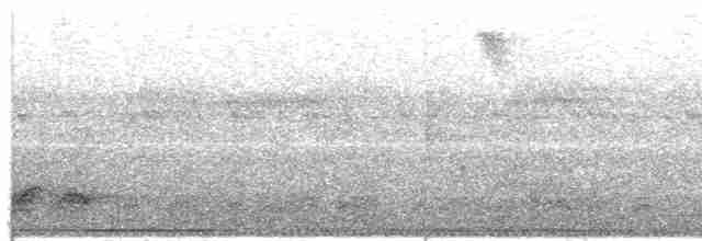 holub bledočelý - ML545020511