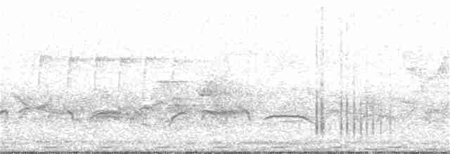 Fork-tailed Sunbird - ML54506361