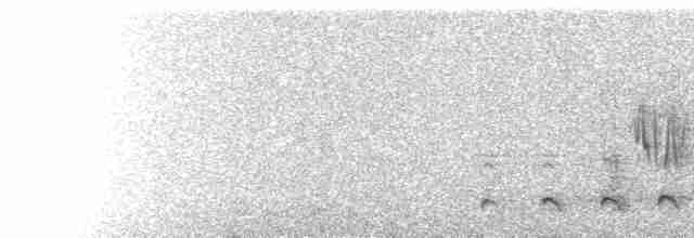  - Pale Chanting-Goshawk