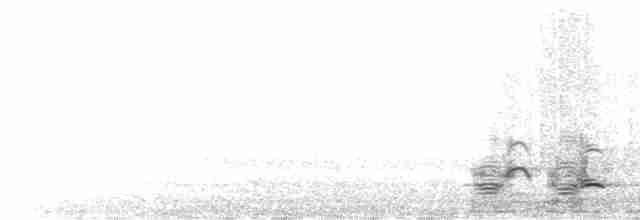  - Steller's Sea-Eagle