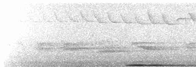  - Blakiston's Fish-Owl