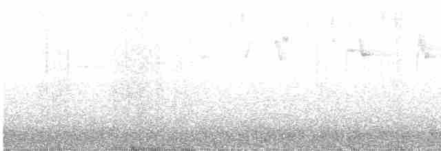 Black-cheeked Warbler - ML545176311
