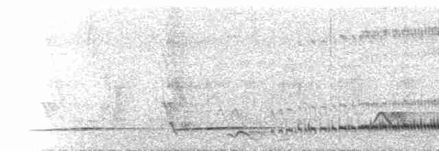  - Scaly-throated Honeyguide