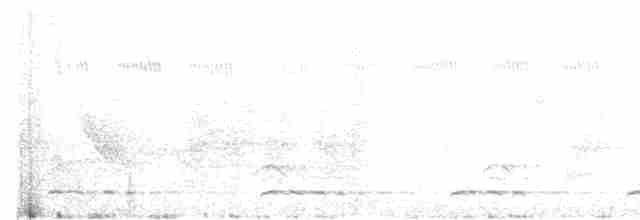 blåkinnskjeggfugl - ML545363001