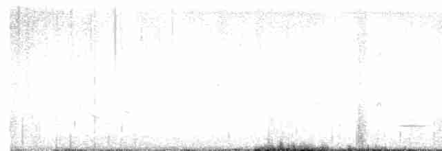Американский бекасовидный веретенник - ML545368661