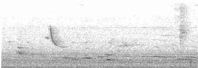 Орлан-рибалка малий - ML545399941