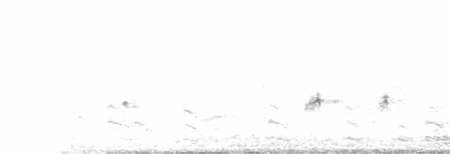 Пірникоза чорношия - ML545408131