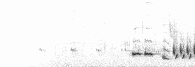  - Lesser Swamp Warbler