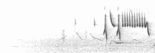  - Yellow-streaked Warbler