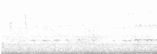Karayip Islıkçı Ördeği - ML545621161