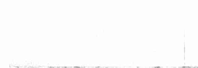 Loggerhead Shrike - ML545624261