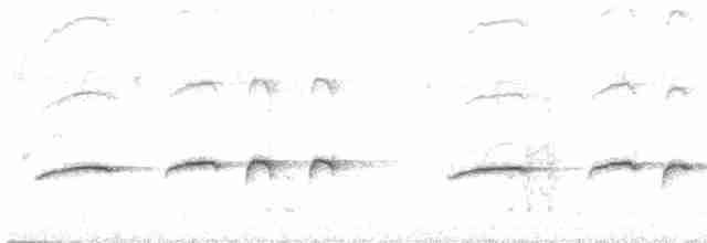 Тирч плямистоволий - ML545691231