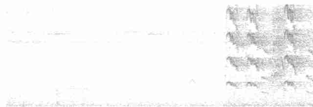 brunhetteparakitt (amazonum) - ML545725351