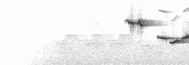  - Hainan Blue Flycatcher