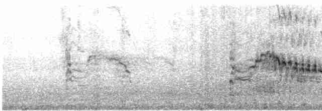 アイスランドカモメ（亜種 クムリーンカモメ） - ML545791281