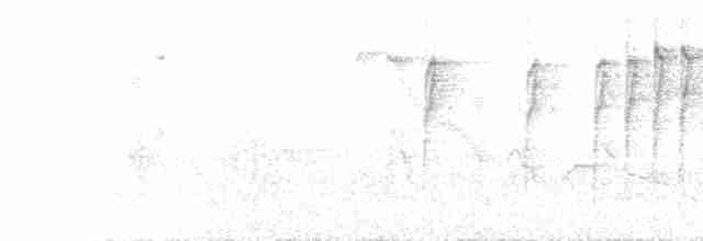  - Southern Double-collared Sunbird