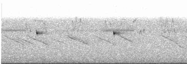 Scissor-tailed Nightjar - ML545891451