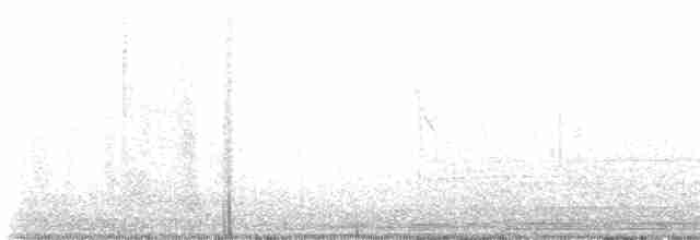 Кактусовый крапивник - ML545913411