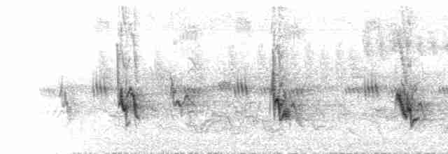  - Southern Gray-headed Sparrow