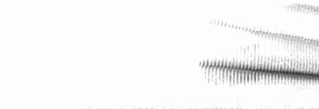  - Yellow-tufted Pipit