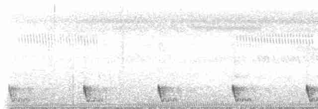Large-tailed Nightjar - ML545997891