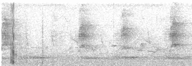 Cratérope roussâtre - ML546010711