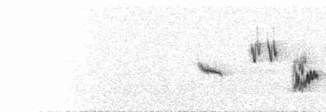  - White-throated Canary