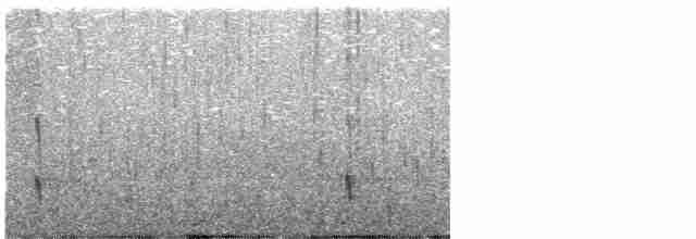 Черноспинный трёхпалый дятел - ML546062571