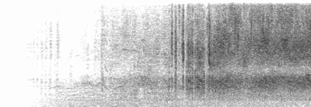  - Chestnut Weaver (Chestnut)