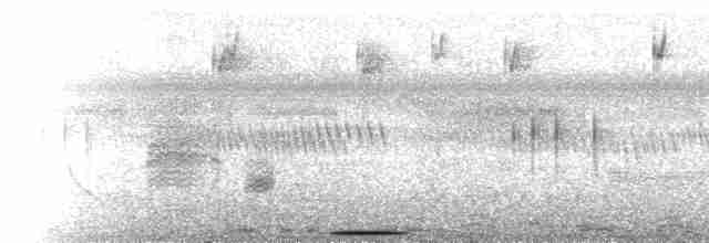  - Streaky-breasted Flufftail