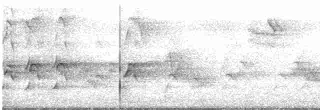 Swallow-tailed Kite - ML546431641