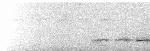  - Brown-banded Puffbird