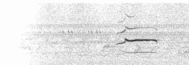  - Green-backed Woodpecker (Plain-backed)