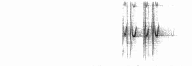  - Red-headed Lovebird