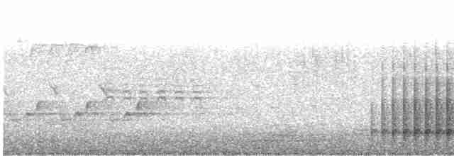 Dunenspecht (pubescens/medianus) - ML546548891