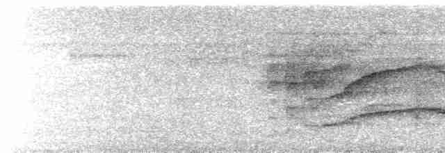  - Plum-throated Cotinga